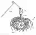 Fig. 01 - Lure skirt
