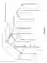 Fig. 02 - Structural building panels with multi-laminate interlocking seams