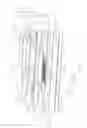 Fig. 09 - Wall structure