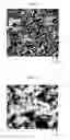 Fig. 02 - Permeable material, articles made therefrom and method of manufacture