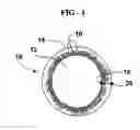Fig. 02 - Encapsulated particle