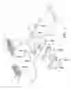 Fig. 02 - Supplemental set of handlebars for bicycle
