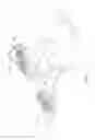 Fig. 03 - Supplemental set of handlebars for bicycle