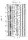 Fig. 06 - Electronic keyboard instrument