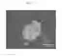 Fig. 02 - Surface-modified titanium dioxide particle and method for producing the same