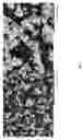 Fig. 04 - CO2-sequestering formed building materials