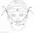 Fig. 01 - Apparatus for alleviating pressure on ears while using oxygen