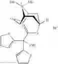 Fig. 02 - Inhalable solid amorphous particles comprising tiotropium bromide and a co-solid