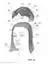 Fig. 02 - DETACHABLE WIG ARRANGEMENT AND METHOD