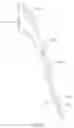 Fig. 07 - DENTAL FLOSS PICK