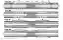 Fig. 07 - PATTERN STEAMFLOODING WITH HORIZONTAL WELLS