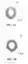 Fig. 02 - Foamed Fluoropolymer Article