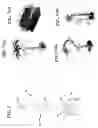 Fig. 03 - WATER FEATURE AND METHODS
