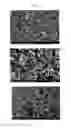 Fig. 02 - Lithium Iron Phosphate Cathode Materials With Enhanced Energy Density And Power Performance