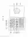 Fig. 09 - Pattern structure and method of forming the same