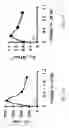 Fig. 09 - Polymer matrix composites with nano-scale reinforcements