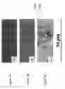 Fig. 10 - Polymer matrix composites with nano-scale reinforcements