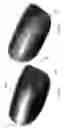 Fig. 17 - Polymer matrix composites with nano-scale reinforcements