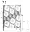 Fig. 02 - Tissue Product With Mixed Inclination Embosses