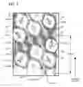 Fig. 03 - Tissue Product With Mixed Inclination Embosses