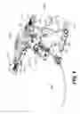 Fig. 07 - Adjustable handlebar for a vehicle