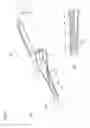 Fig. 08 - Electronic thermometer