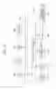 Fig. 28 - COMMUNICATION DEVICE, COMMUNICATION METHOD AND PROGRAM