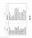 Fig. 04 - System and method for maximizing edit distances between particles