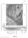 Fig. 07 - Multi-operator media retargeting