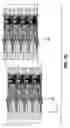 Fig. 20 - Flow through dispenser including improved guide structure