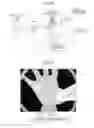 Fig. 05 - Image capturing apparatus, image capturing method, and image capturing program