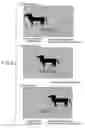 Fig. 08 - Still subtitle detection apparatus and image processing method therefor