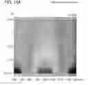 Fig. 22 - Liquid crystal display device