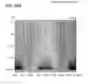 Fig. 26 - Liquid crystal display device