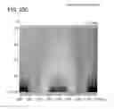 Fig. 27 - Liquid crystal display device