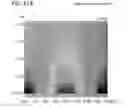 Fig. 28 - Liquid crystal display device