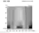 Fig. 29 - Liquid crystal display device