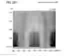 Fig. 33 - Liquid crystal display device