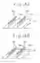 Fig. 35 - Alignment treatment of liquid crystal display device