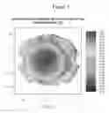 Fig. 04 - Myopia control ophthalmic lenses