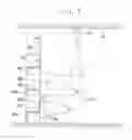 Fig. 08 - Display shelf and display shelf system for projecting projector images displaying information about articles