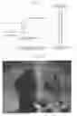 Fig. 02 - Rear surface projection type screen that diffracts and diffuses high luminance projection light from a projector including first and second polarizing plates