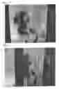 Fig. 03 - Rear surface projection type screen that diffracts and diffuses high luminance projection light from a projector including first and second polarizing plates
