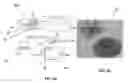 Fig. 03 - Near field detector for integrated surface plasmon resonance biosensor applications
