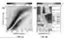 Fig. 04 - Near field detector for integrated surface plasmon resonance biosensor applications