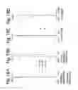 Fig. 19 - Zoom lens system