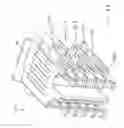 Fig. 137 - Modular electrical distribution system for a building