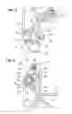 Fig. 06 - Lighting system