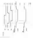 Fig. 07 - Semiconductor memory device