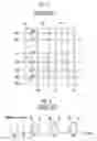Fig. 02 - Method of programming nonvolatile memory device